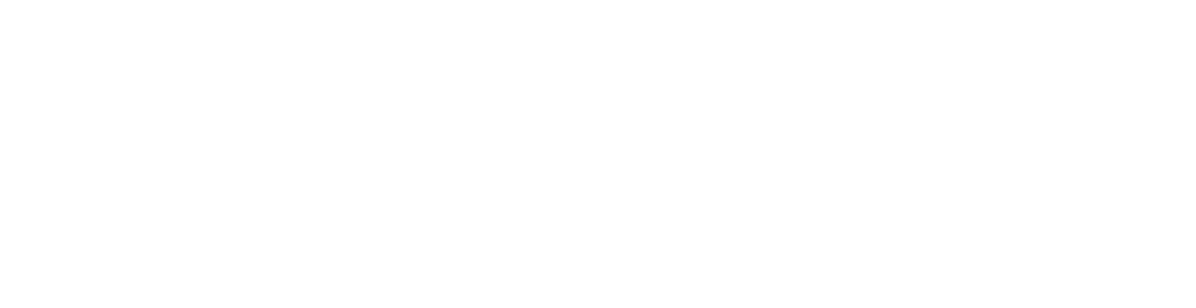 ForeFunding_Logo-08